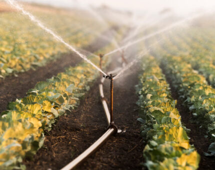 Qué es y cómo funciona el riego por aspersión