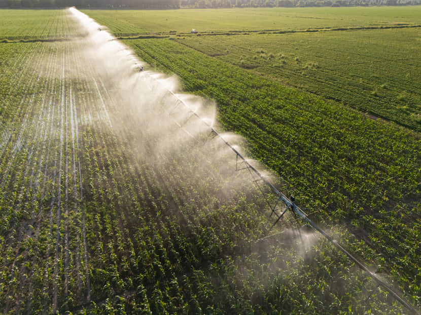 riego por aspersion para jardin