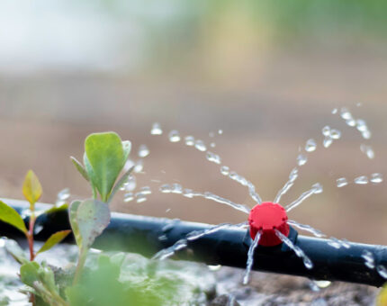 Qué es el riego por microaspersión: Cómo funciona