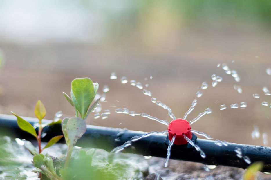 riego por microaspersión