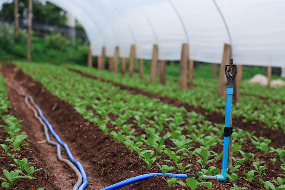 calcular una instalación de riego paso a paso