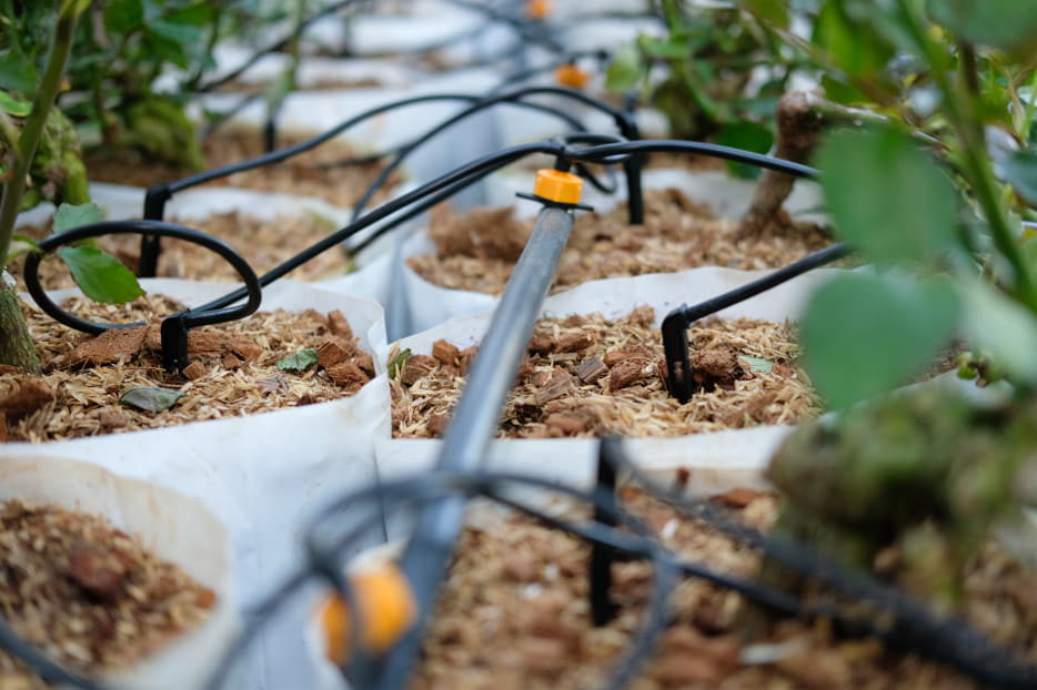 instalación de riego