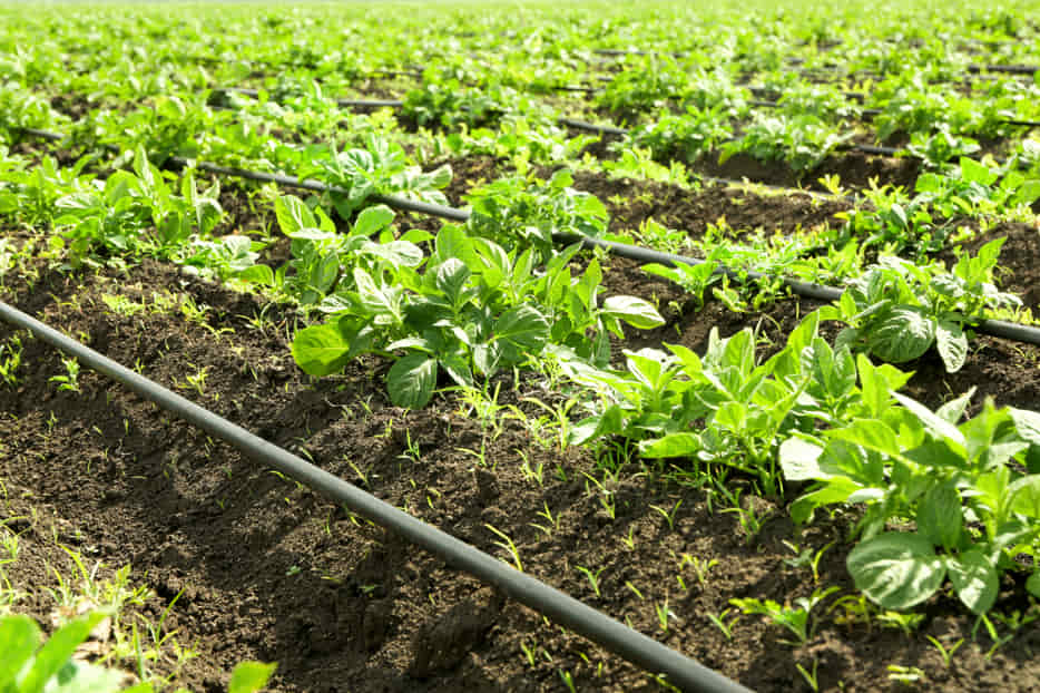 como instalar temporizador de riego