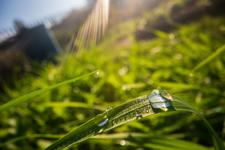 diagnóstico y reparación de electroválvulas de riego