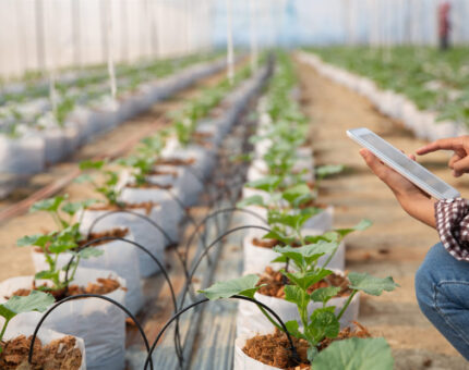 Mi programador de riego no funciona: 5 fallos comunes y cómo solucionarlos