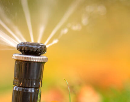 Diferencia entre aspersor y difusor de riego: ¿Cuál necesita tu césped?
